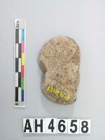 藏品(小砝碼型石網墜)的圖片